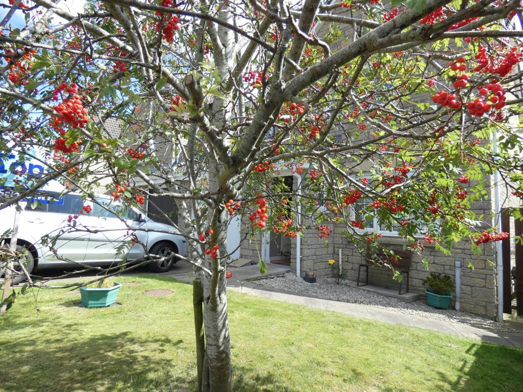 Additional image 29 of Park Grove, Aberdeen, AB23