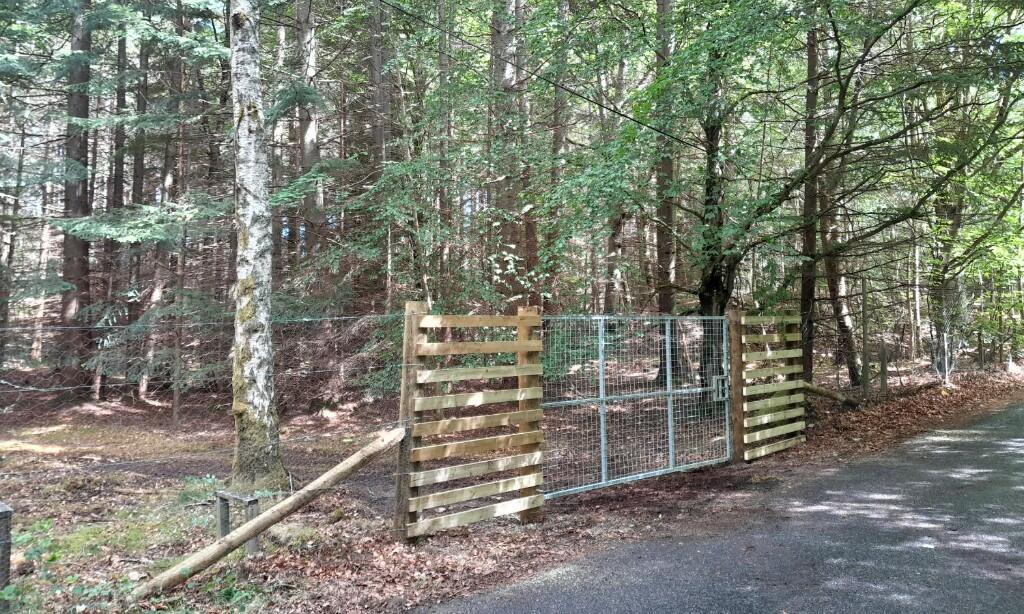 Additional image 4 of Minnonie Woodland, Banchory, AB31