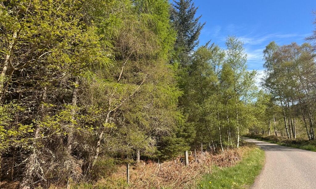 Additional image 11 of Minnonie Woodland, Banchory, AB31