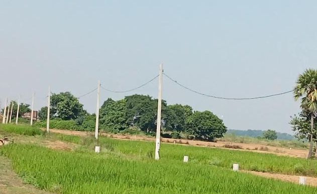 Property image for Bihta, Patna