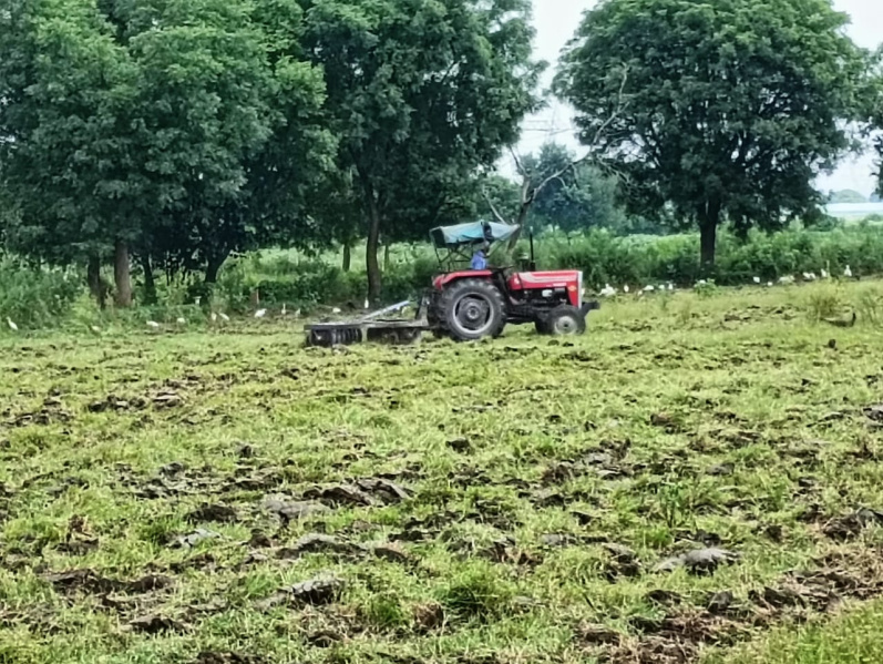 Additional image 3 of Kakua, Agra