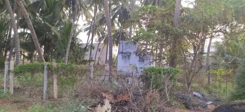 Additional image 2 of Kannampalayam, Coimbatore