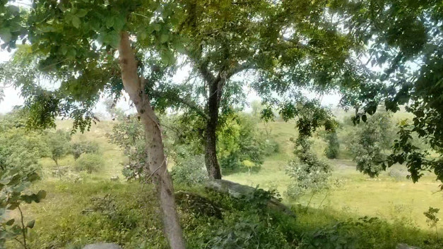 Additional image 2 of Bhinder, Udaipur