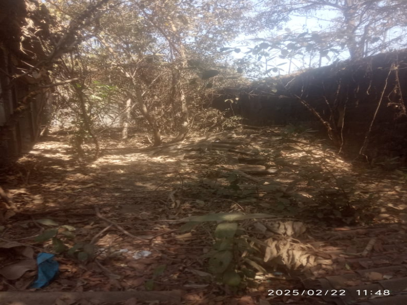 Kurla West, Kurla, Mumbai