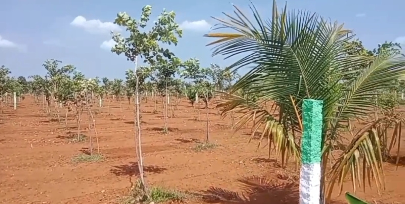 Additional image 2 of Marakkanam, Chennai