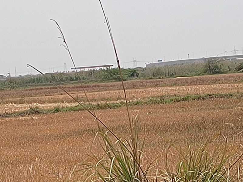 Sohna Palwal Road, Gurgaon