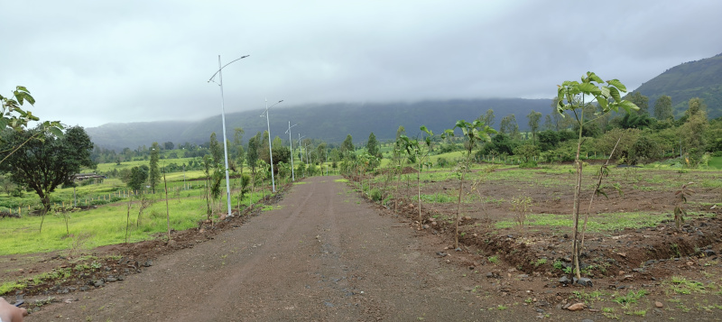 Additional image 3 of Trimbakeshwar, Nashik