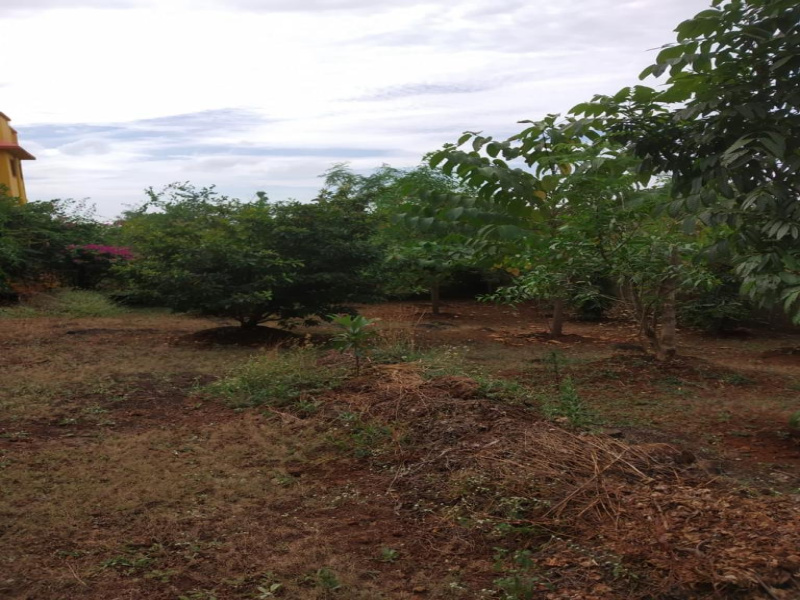 Additional image 2 of Shahapur, Thane
