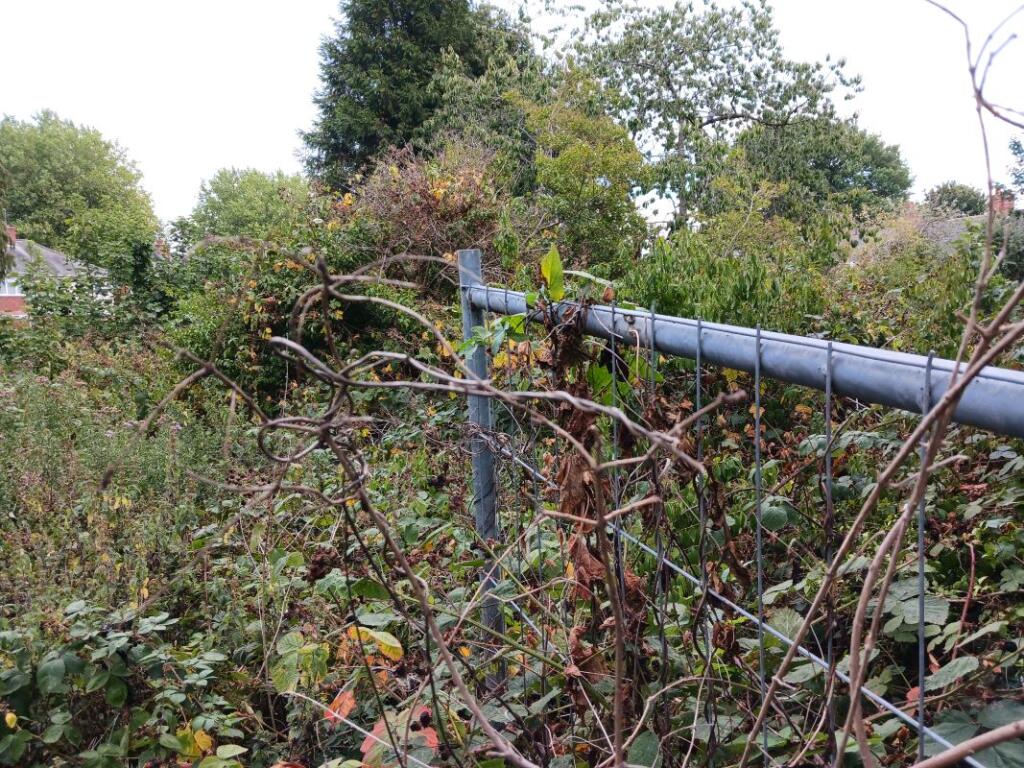 Additional image 6 of Land To The R/O 318-320 Brook Lane, Billesley, Birmingham, West Midlands, B13 0TH