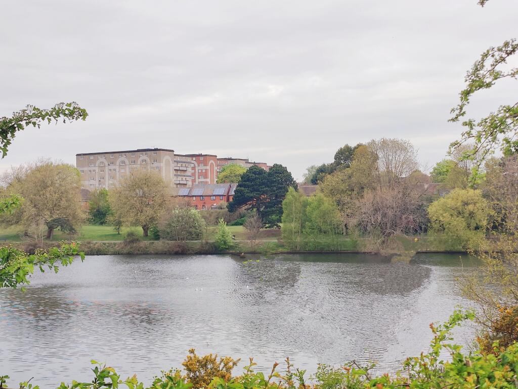 Additional image 8 of Ivyfield Road, Erdington B23