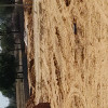 Additional image 3 of Bhankrota, Jaipur