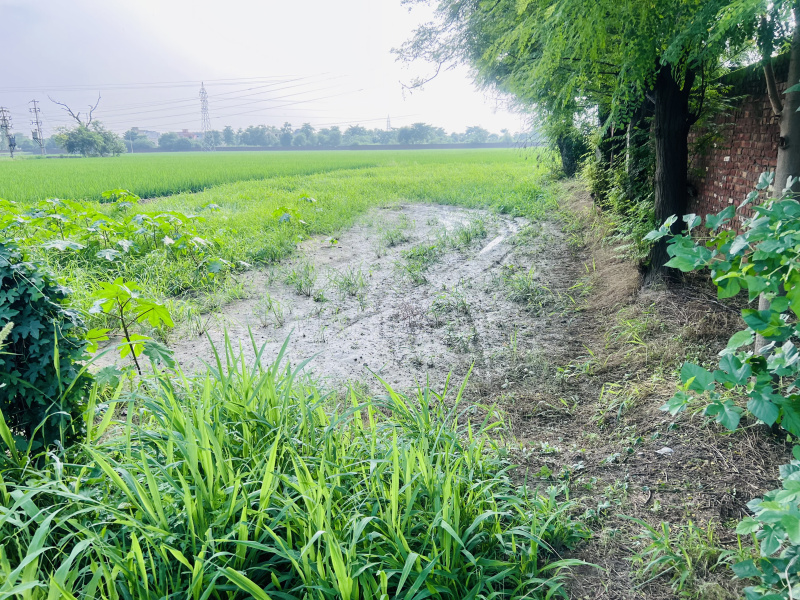 Additional image 3 of Mehatpur, Jalandhar