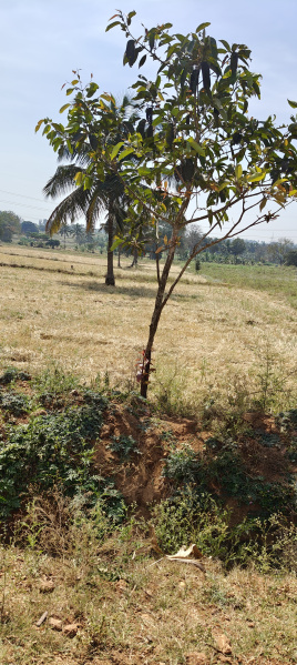 Additional image 3 of Hunsur Road, Mysore