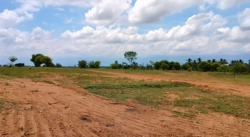 Additional image 3 of Annur, Coimbatore