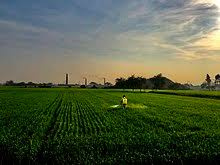 Property image for Kharkhoda, Sonipat