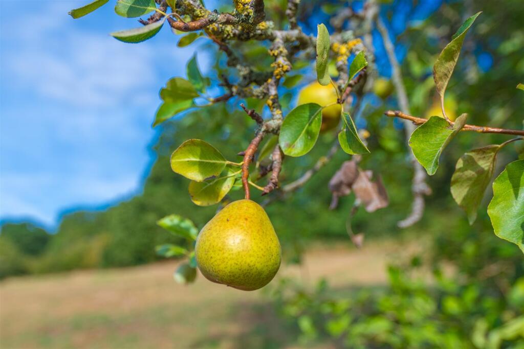 Additional image 36 of Common Lane, Mappleborough Green