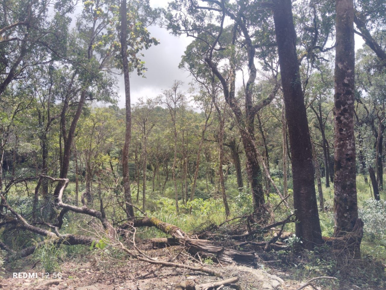 Additional image 3 of TC Palya Road, Bangalore