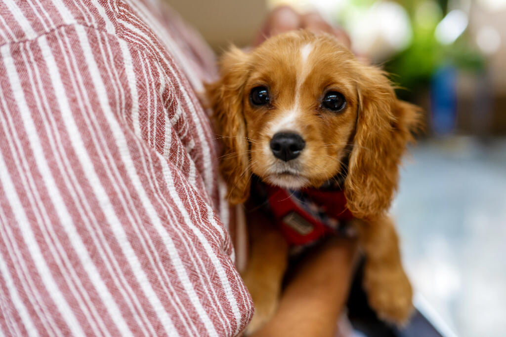 Additional image 4 of Sadlers Place