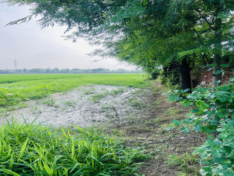 Property image for Mehatpur, Jalandhar