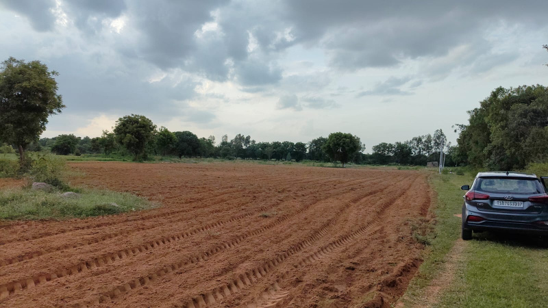 Additional image 2 of Mucherla, Hyderabad