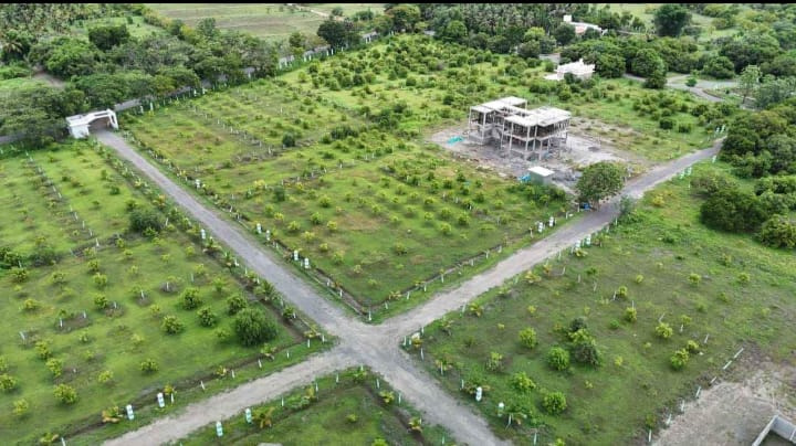 Additional image 2 of Tindivanam, Chennai