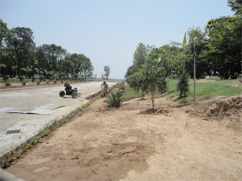 Property image for Sector 25, Panchkula