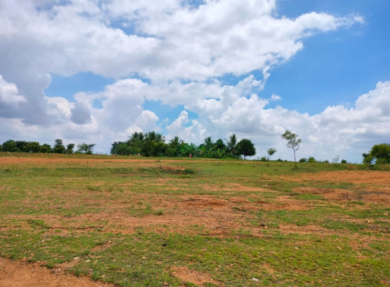 Additional image 2 of Annur, Coimbatore