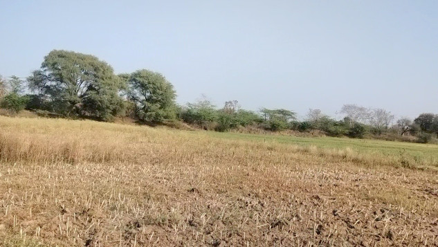 Additional image 3 of Mavli, Udaipur