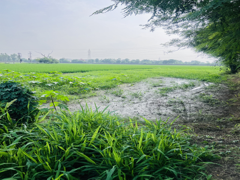 Additional image 2 of Mehatpur, Jalandhar