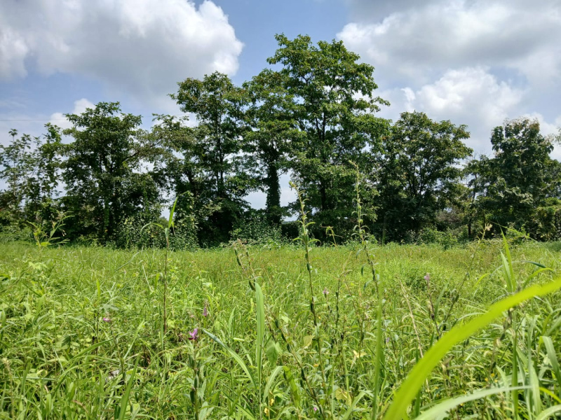 Additional image 2 of Murbad, Thane