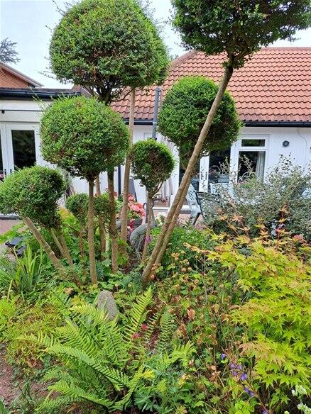 Additional image 17 of Haig Close, Four Oaks, Sutton Coldfield, B75