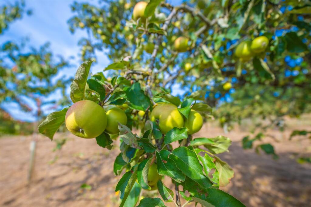 Additional image 35 of Common Lane, Mappleborough Green