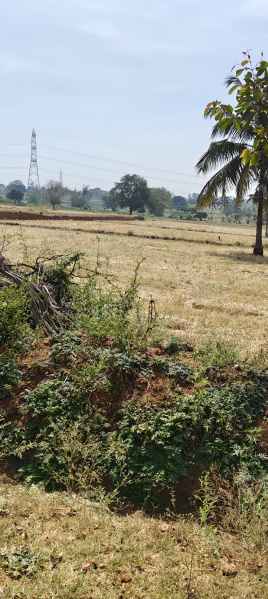 Additional image 2 of Hunsur Road, Mysore