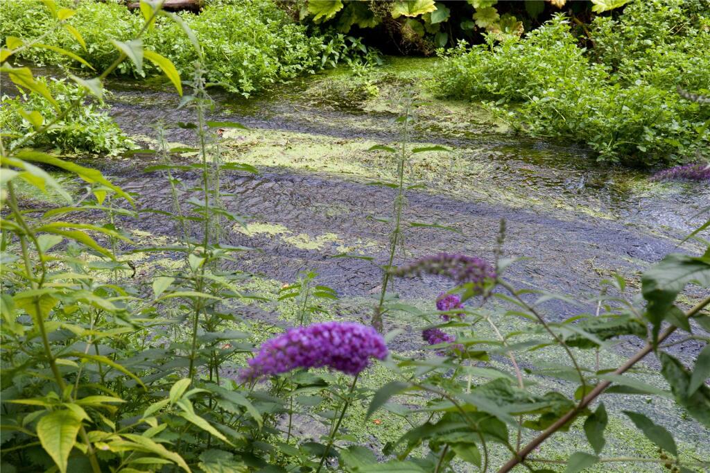 Additional image 12 of Edgebridge, Mere, Warminster, Wiltshire, BA12