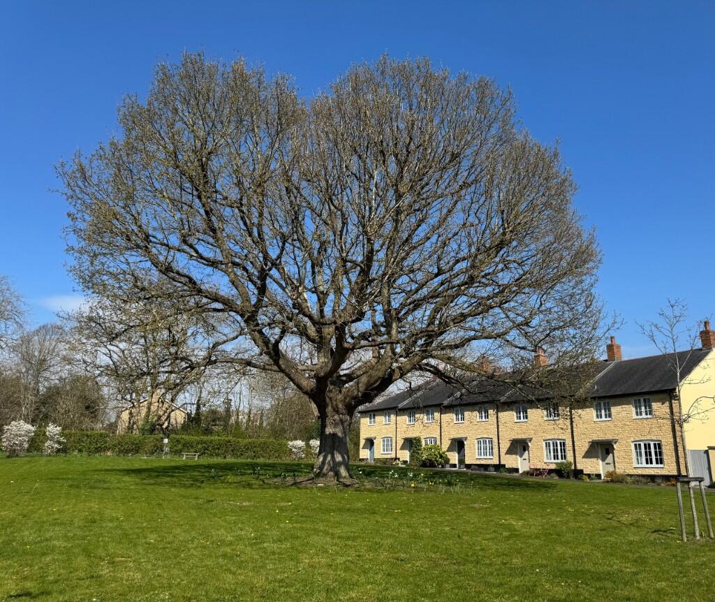 Additional image 14 of Duffield Lane