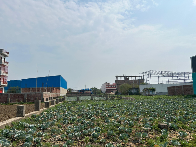 Additional image 2 of Bairiya, Patna