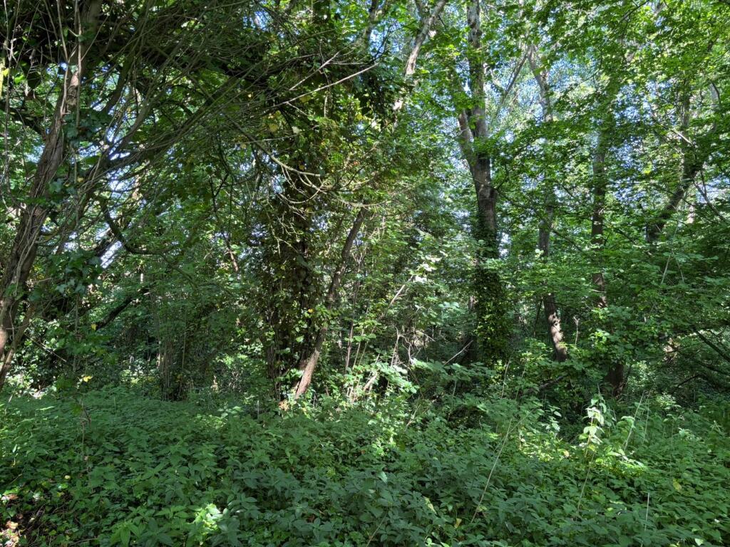 Additional image 6 of Great Pit Lane, Rimpton, Yeovil, BA22