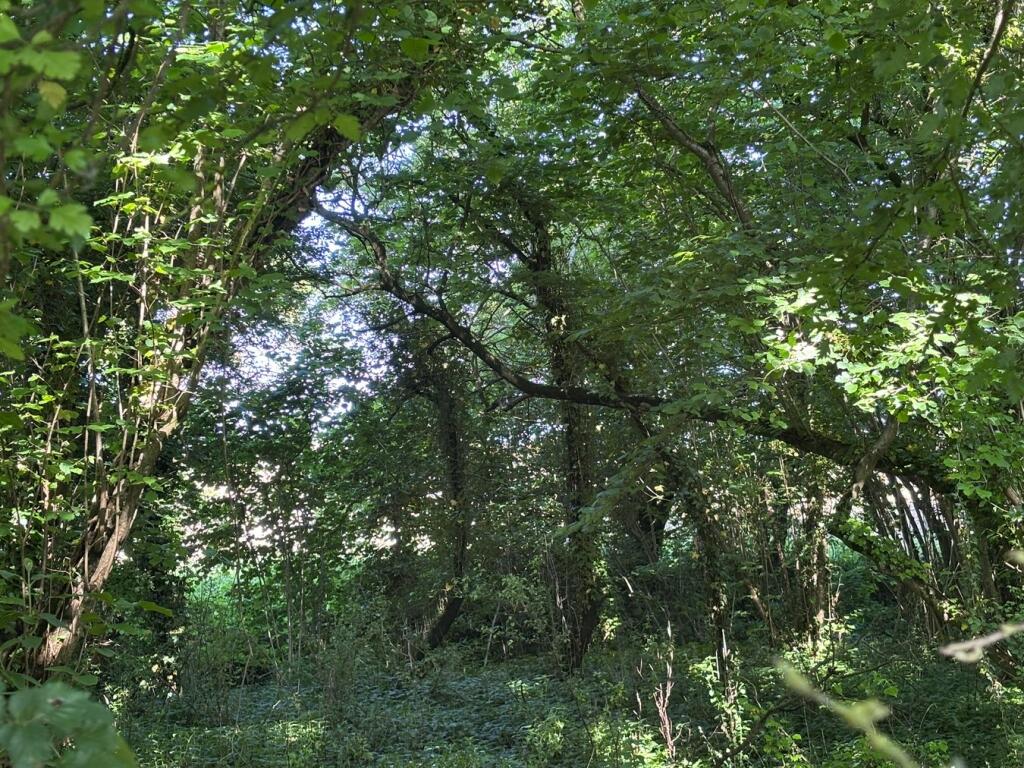 Additional image 8 of Great Pit Lane, Rimpton, Yeovil, BA22