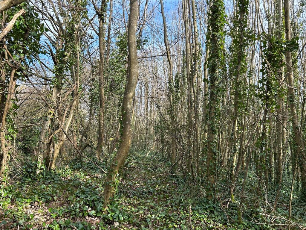 Additional image 5 of Yeovil Marsh, Yeovil, Somerset, BA21