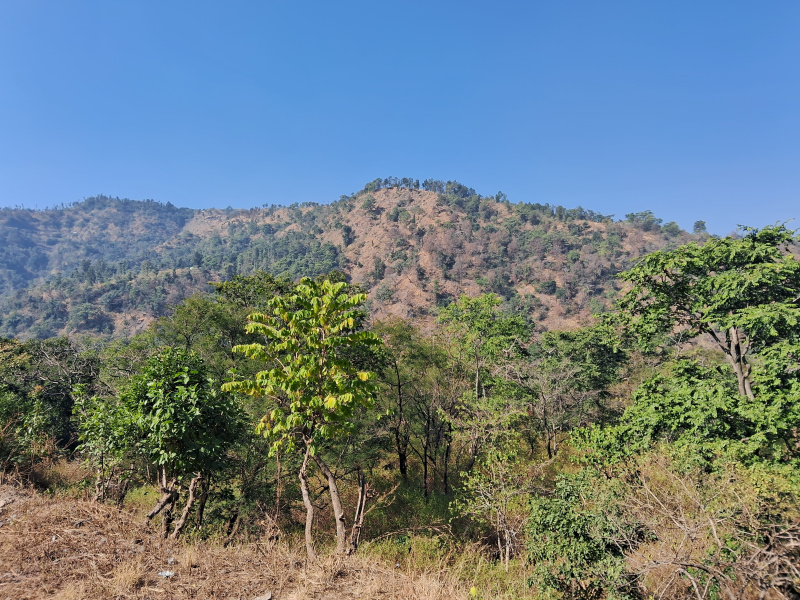 Additional image 3 of Thano, Dehradun