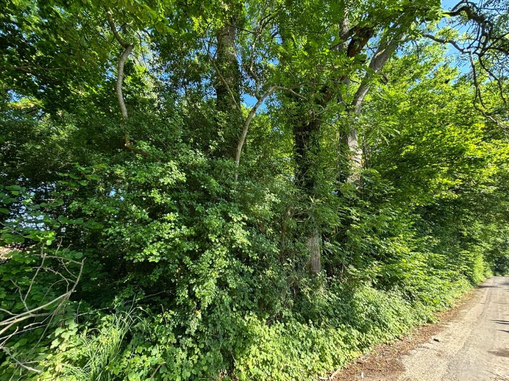 Additional image 11 of Great Pit Lane, Rimpton, Yeovil, BA22