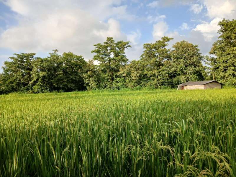 Additional image 3 of Murbad, Thane