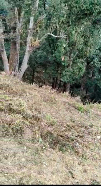 Additional image 3 of Barlow Ganj, Dehradun