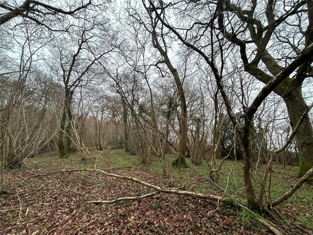 Additional image 6 of Yeovil Marsh, Yeovil, Somerset, BA21