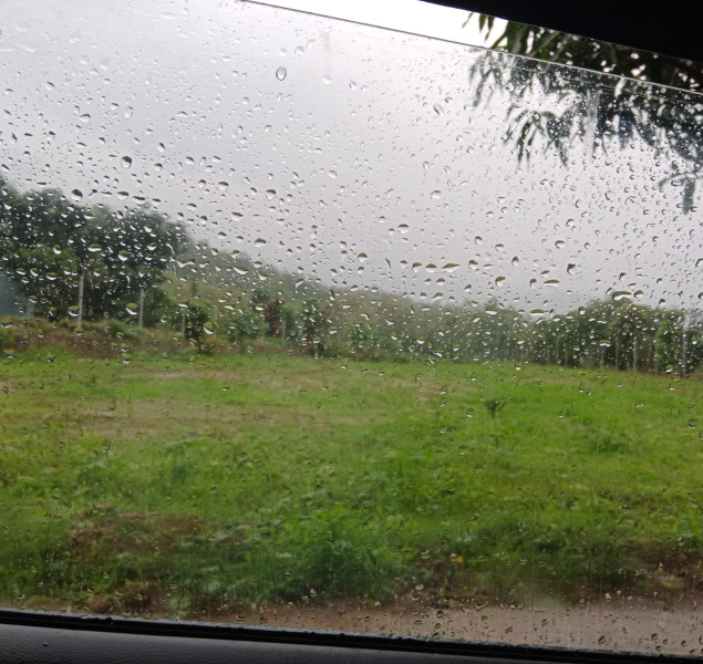 Property image for Kotabagh, Nainital