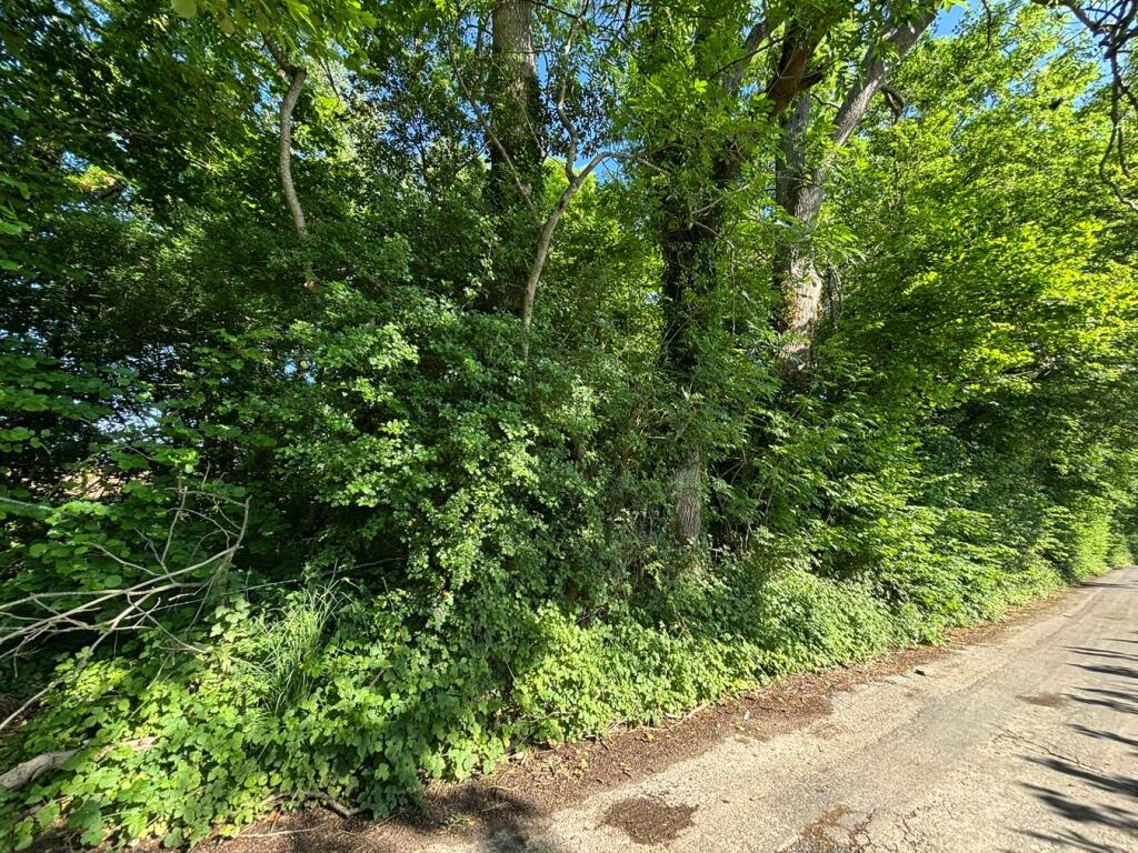 Additional image 3 of Great Pit Lane, Rimpton, Yeovil, BA22