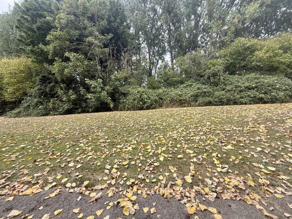 Additional image 7 of Wessex Road, Yeovil, Somerset