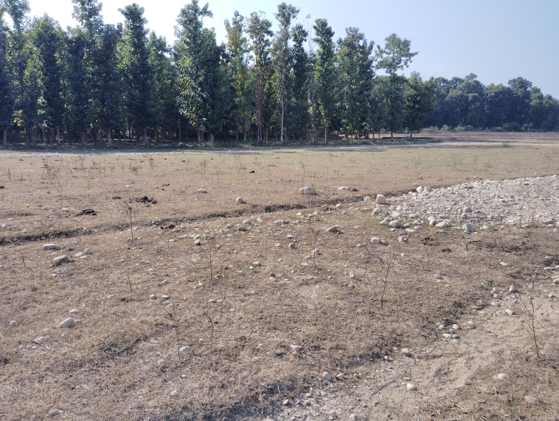 Property image for Shimla Bypass, Dehradun
