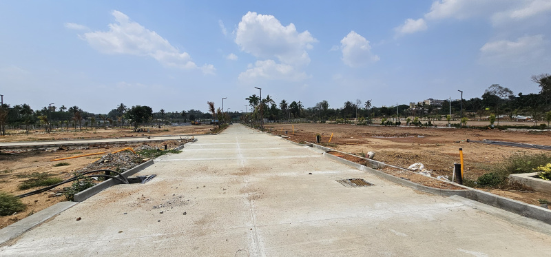 Anekal Road, Bangalore