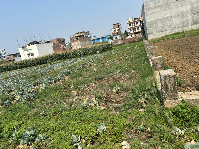 Additional image 3 of Bairiya, Patna